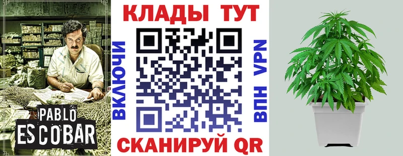 Магазин наркотиков Протвино Alpha PVP  Меф  МЕТАДОН  Марихуана 
