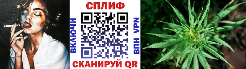 Бошки Шишки конопля  где найти наркотики  Протвино 